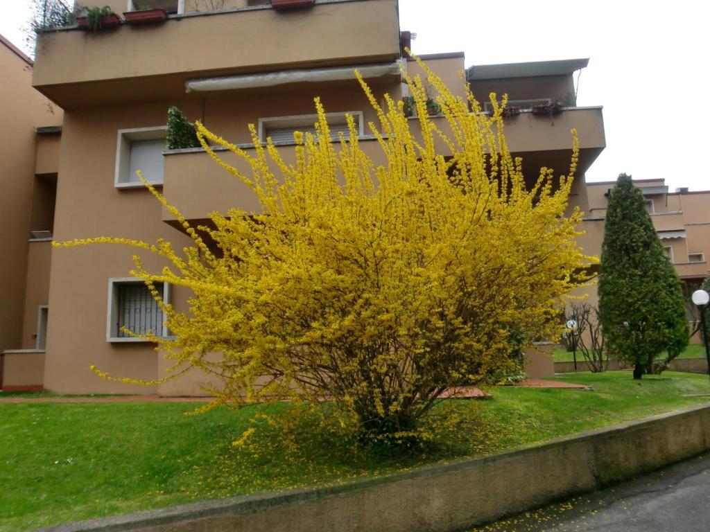 Residence La Madonnina بسكييرا ديل غاردا المظهر الخارجي الصورة